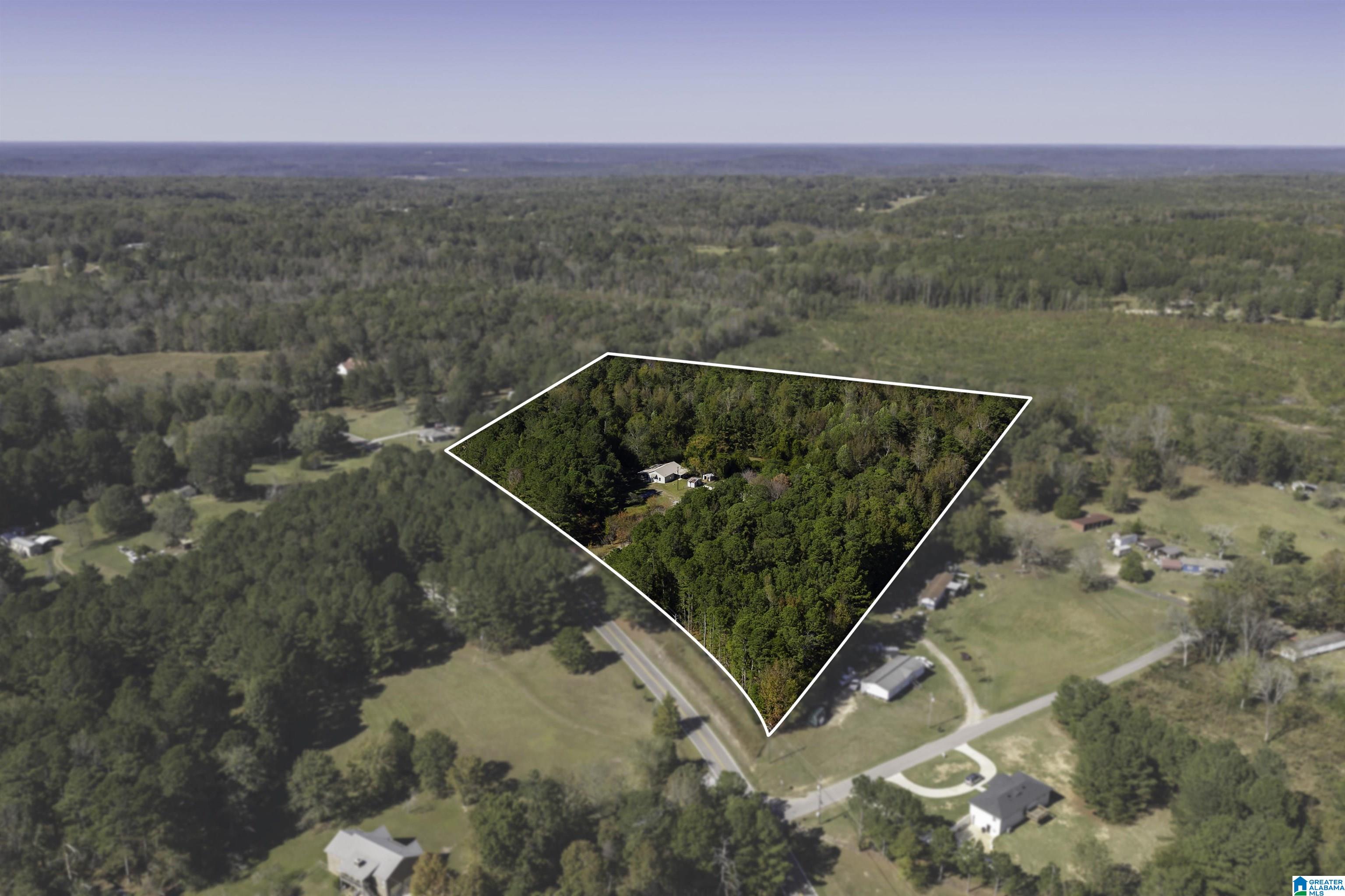 9389 Central Road Warrior, AL 35180 - Photo 32 of 42