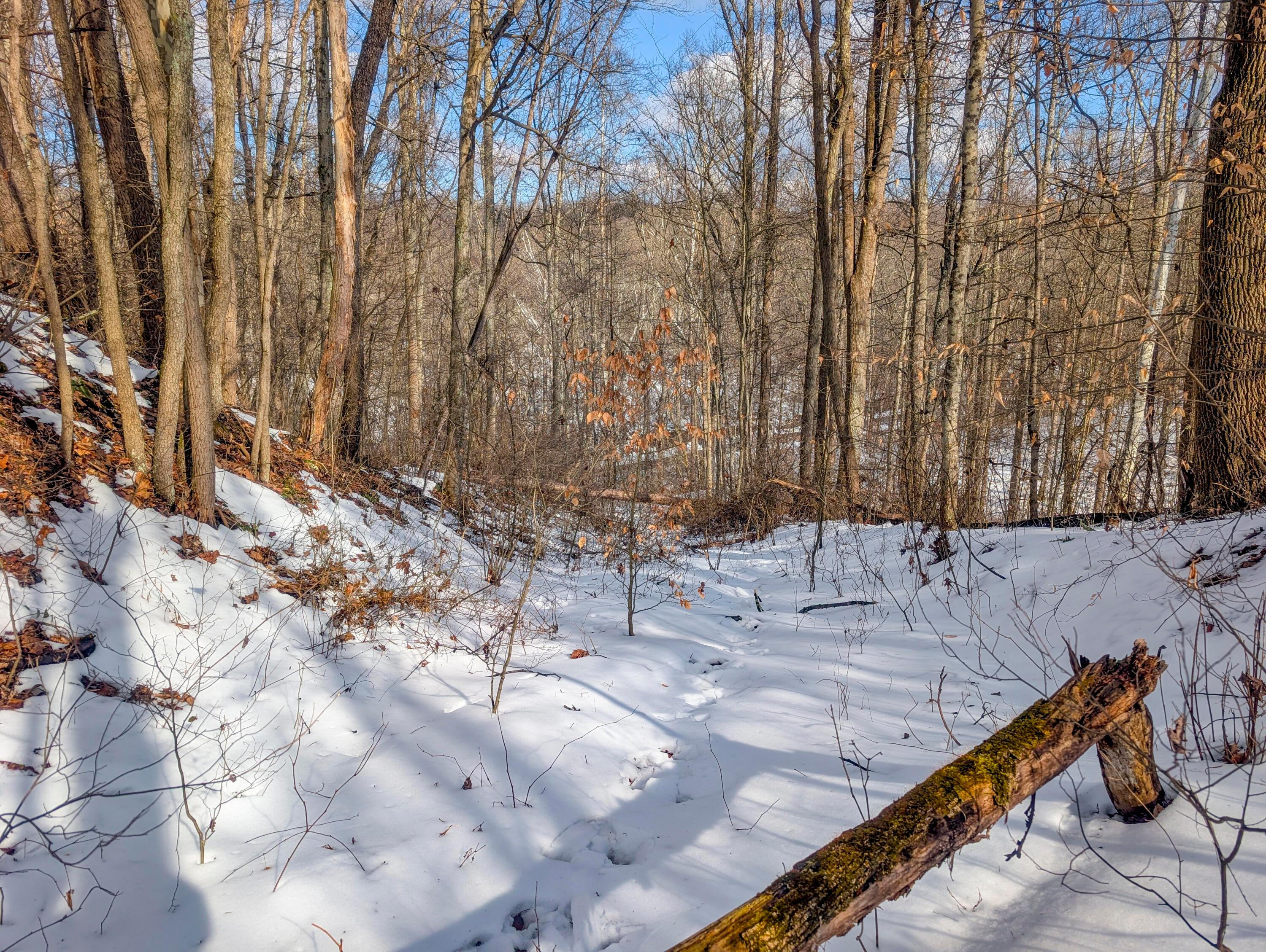 15 Peaker Run Road Macksburg, OH 45746 - Photo 24 of 36 Tract 15_TD-15