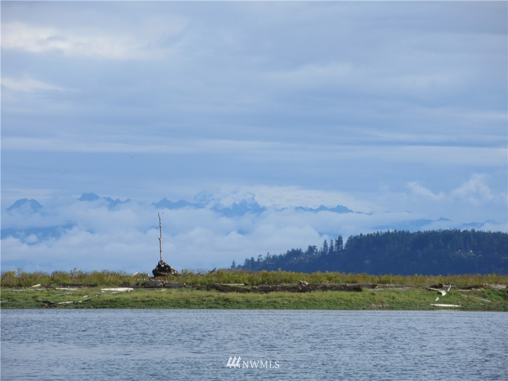 29 Race Road Coupeville, WA 98239 - Photo 2 of 18 Gallery Image 2