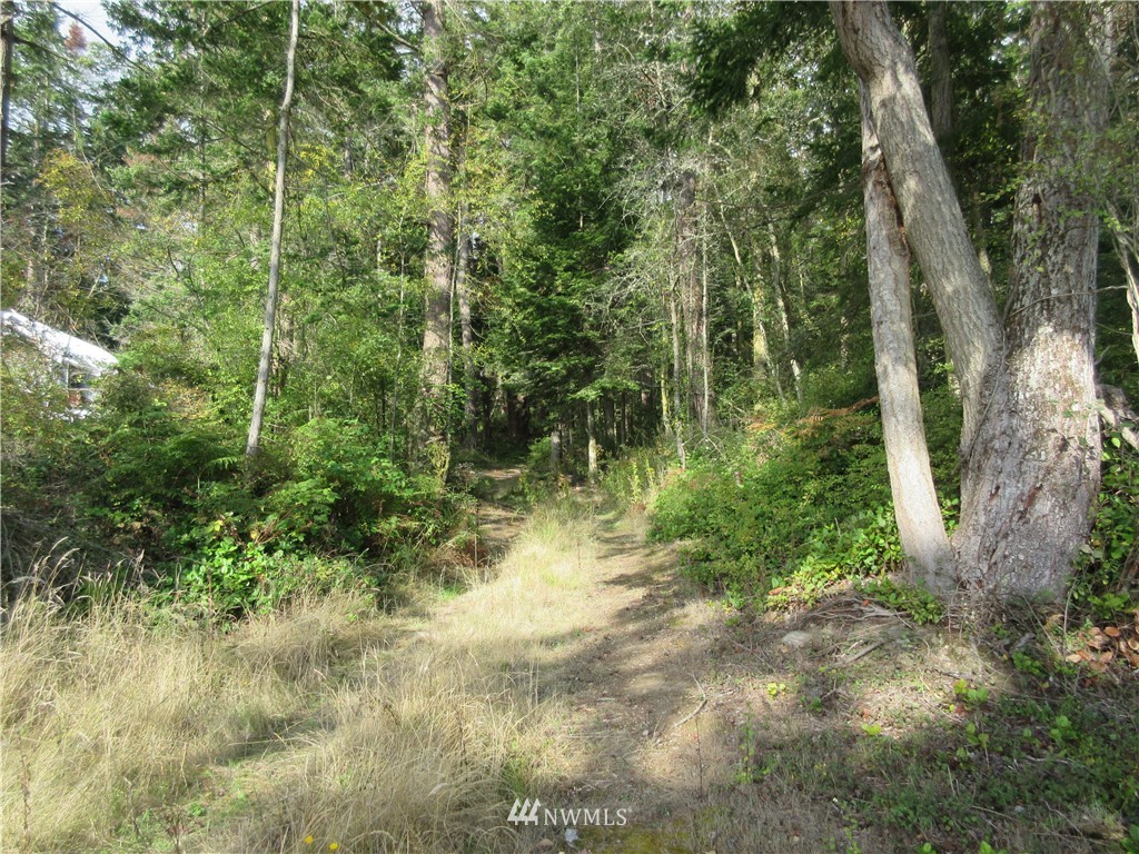 29 Race Road Coupeville, WA 98239 - Photo 13 of 18 Gallery Image 13