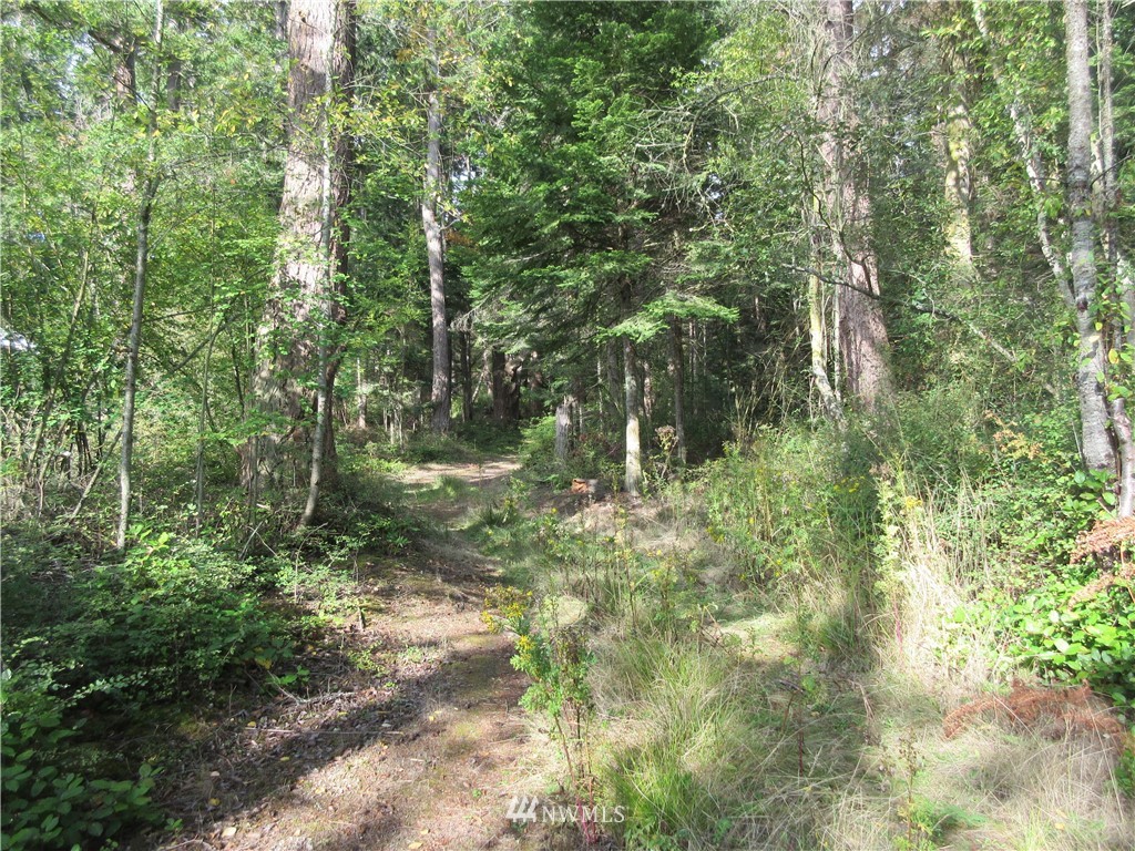 29 Race Road Coupeville, WA 98239 - Photo 14 of 18 Gallery Image 14