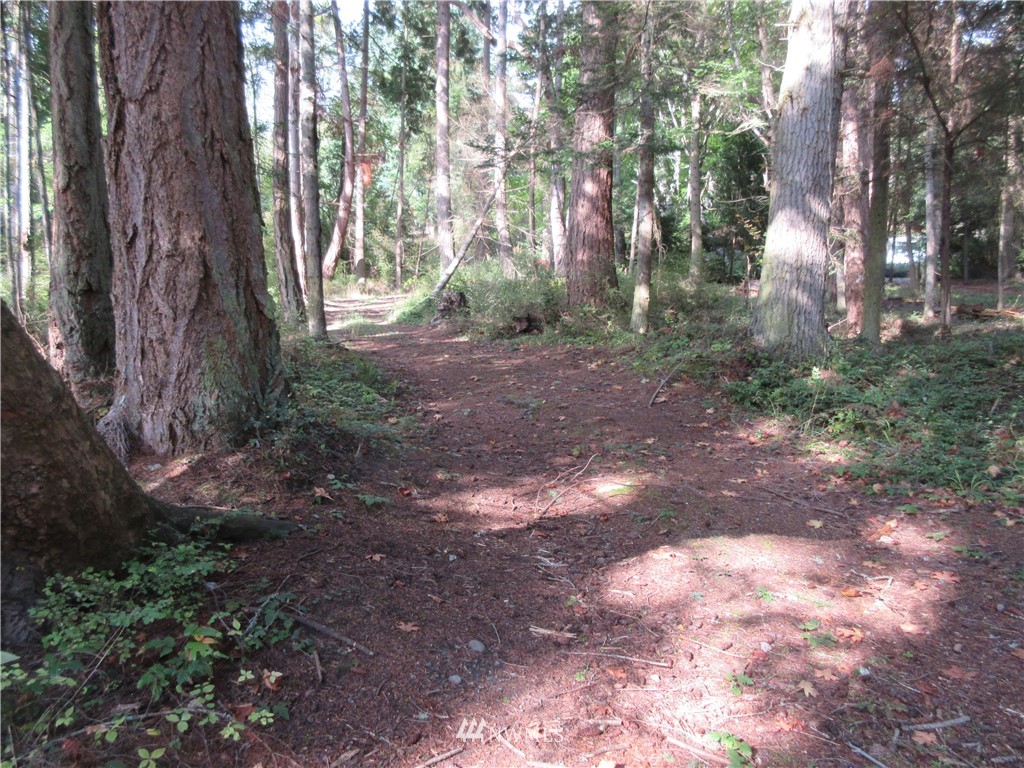 29 Race Road Coupeville, WA 98239 - Photo 15 of 18 Gallery Image 15