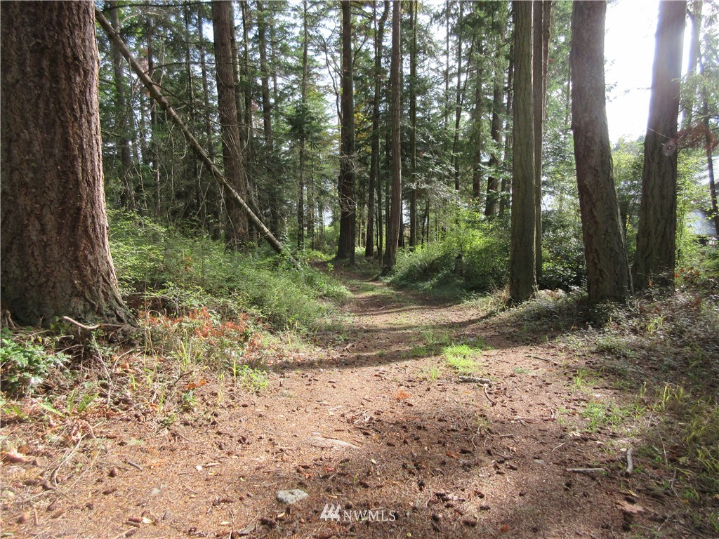 29 Race Road Coupeville, WA 98239 - Photo 3 of 18 Gallery Image 3