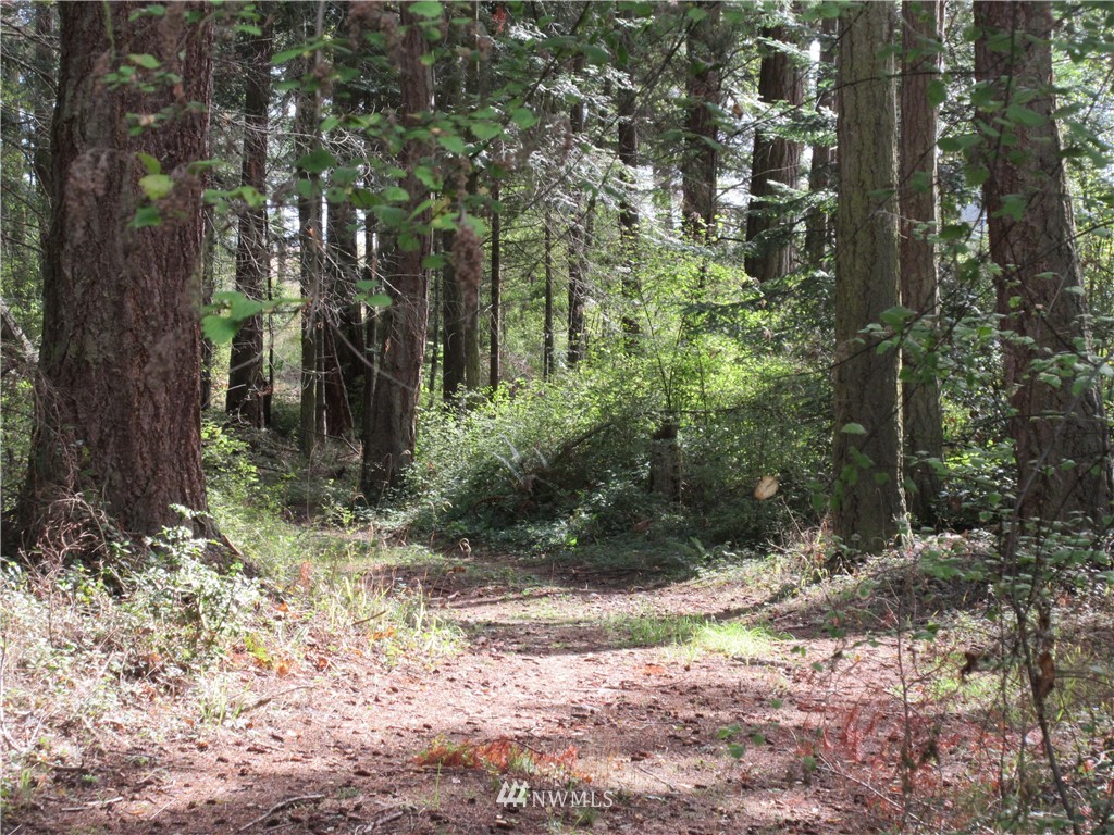 29 Race Road Coupeville, WA 98239 - Photo 4 of 18 Gallery Image 4