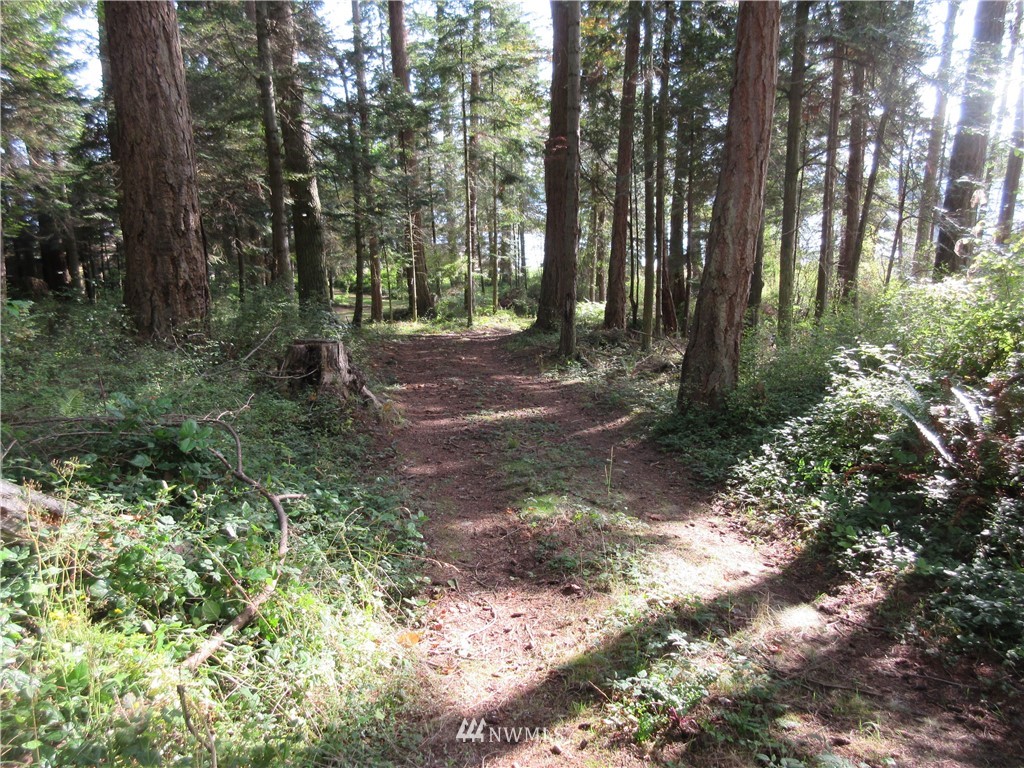 29 Race Road Coupeville, WA 98239 - Photo 5 of 18 Gallery Image 5