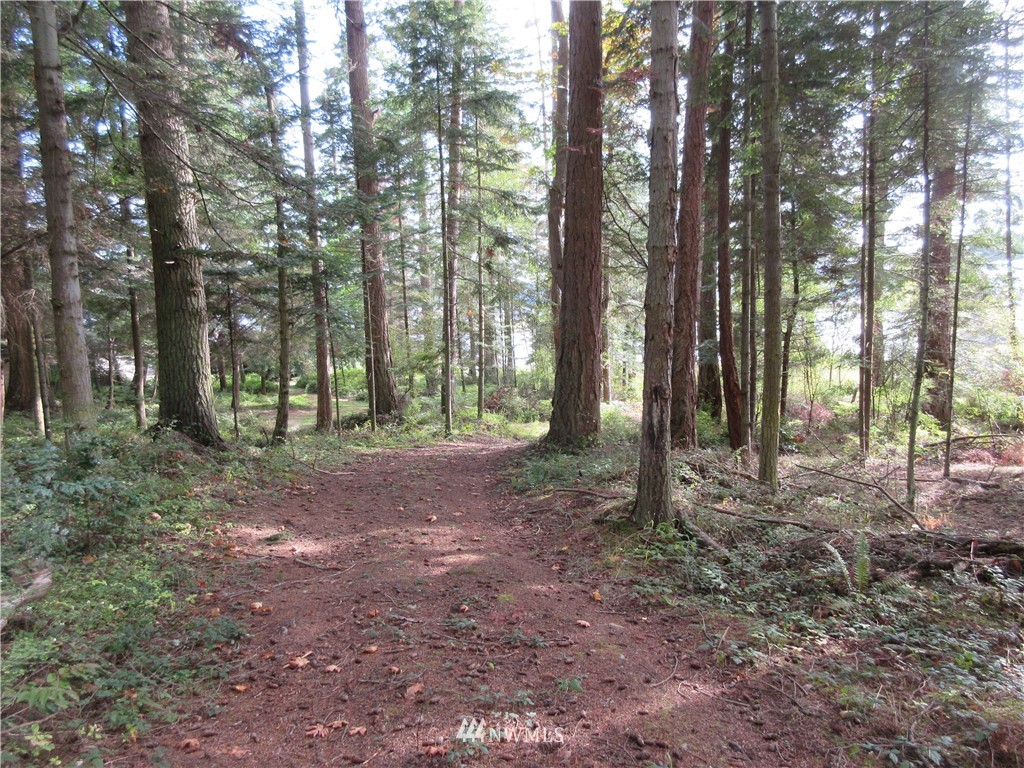 29 Race Road Coupeville, WA 98239 - Photo 6 of 18 Gallery Image 6