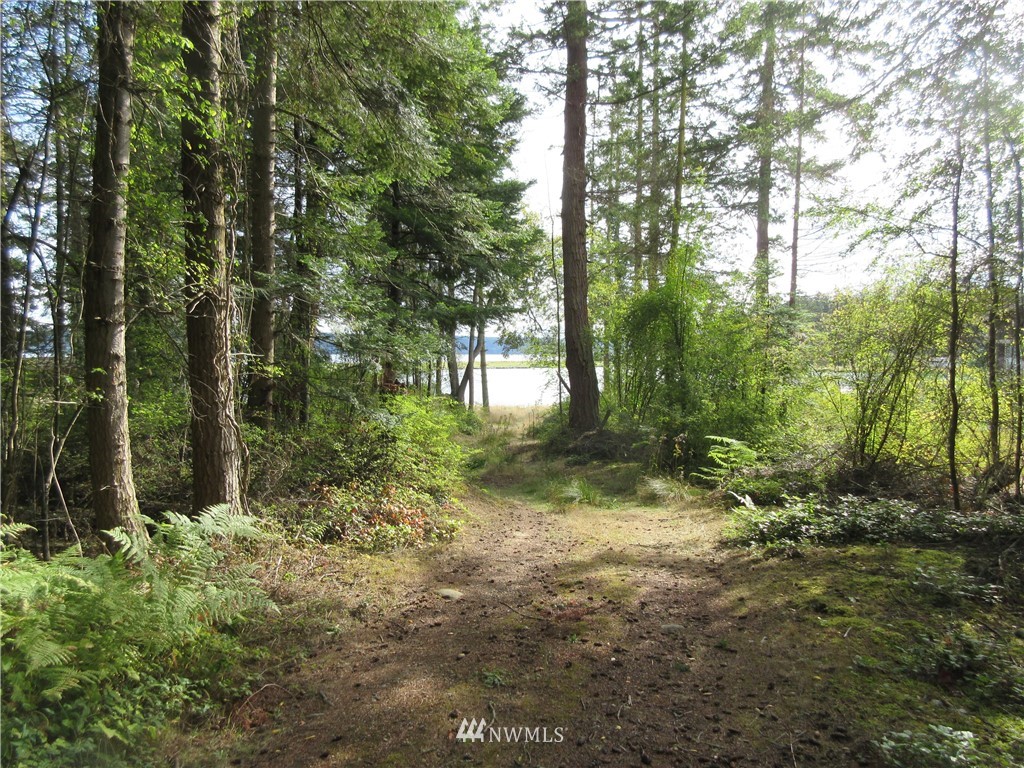 29 Race Road Coupeville, WA 98239 - Photo 8 of 18 Gallery Image 8