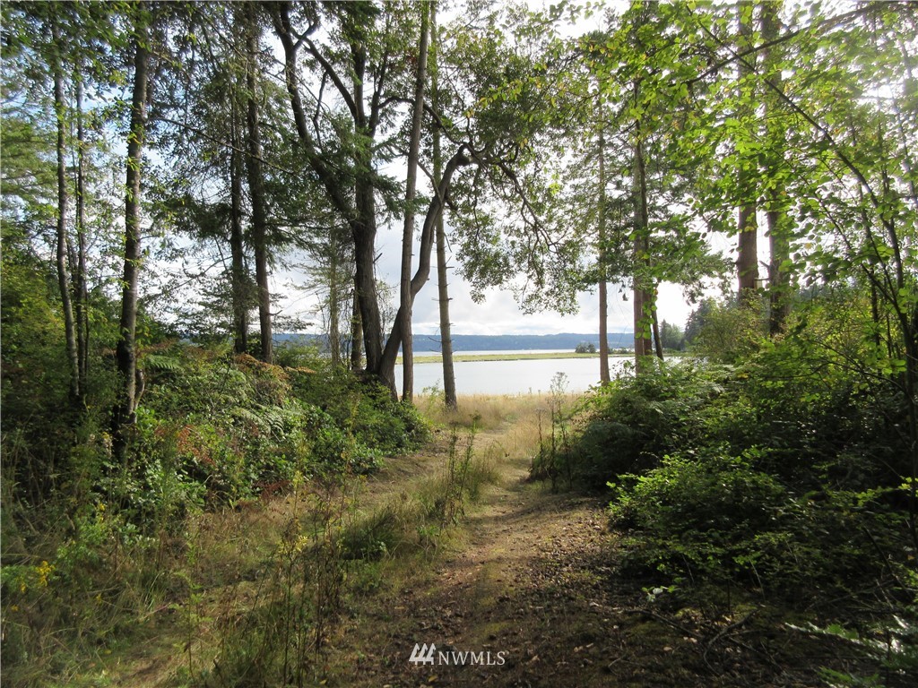 29 Race Road Coupeville, WA 98239 - Photo 9 of 18 Gallery Image 9