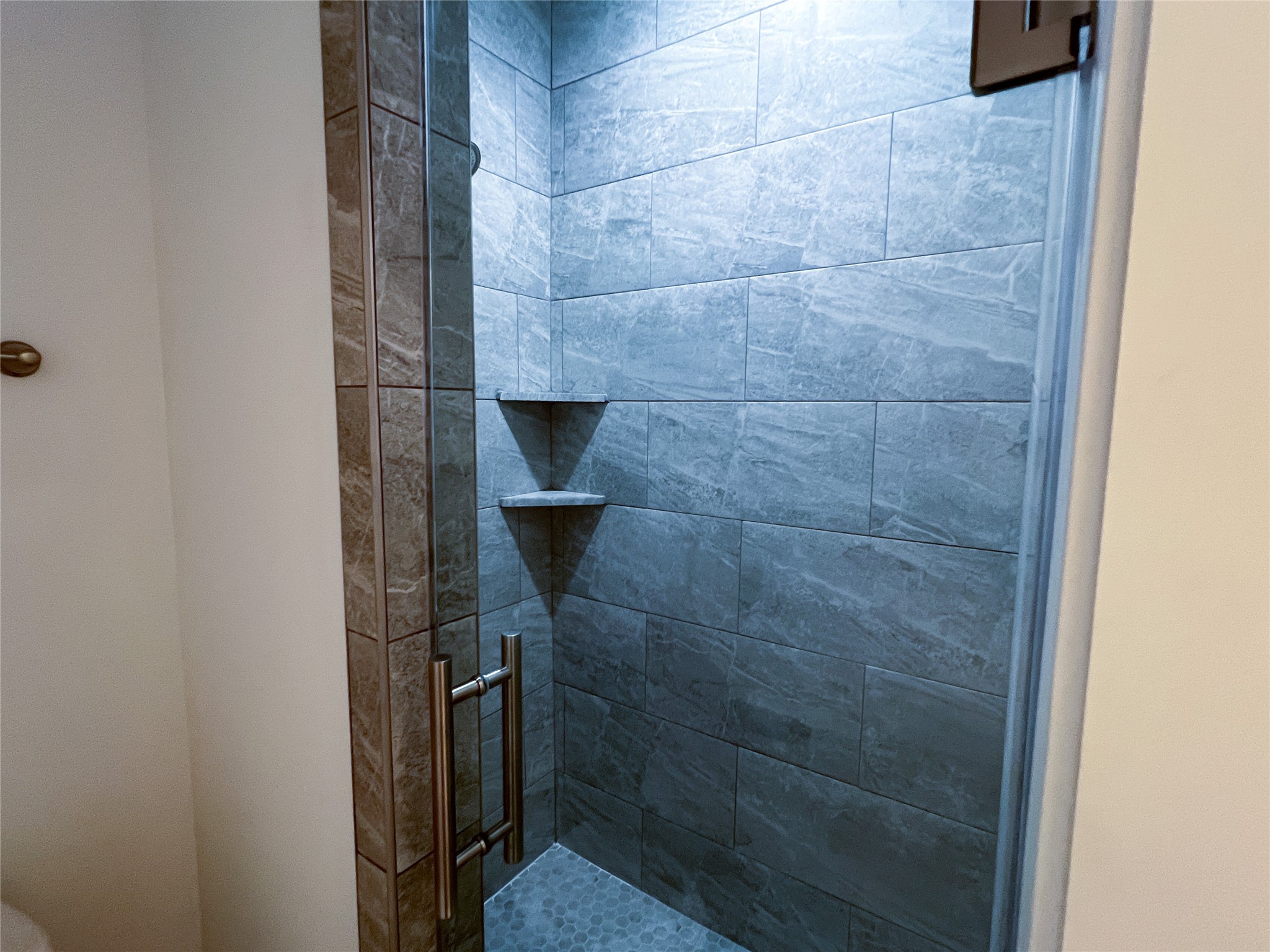 126 Lakeland Circle Rosharon, TX 77583 - Photo 40 of 49 a close view of a bathroom shower