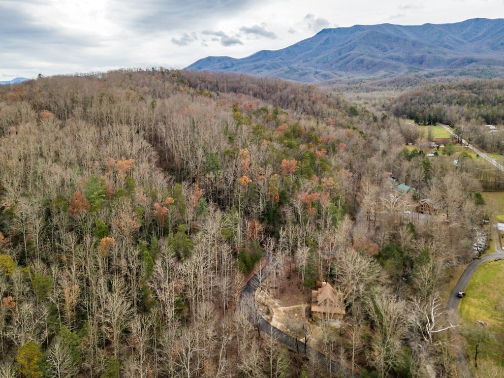 0 Sonshine Ridge Cosby, TN 37722 - Photo 12 of 29 a view of mountain and tree