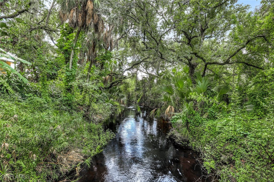 18191 Slater Road North Fort Myers, FL 33917 - Photo 32 of 34 a view of a forest with lots of trees