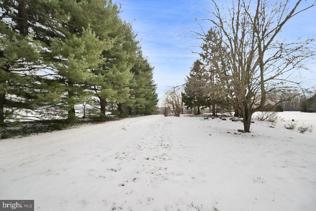 782 Delta Road Red Lion, PA 17356 - Photo 55 of 56 Large, open lot at the back of the property