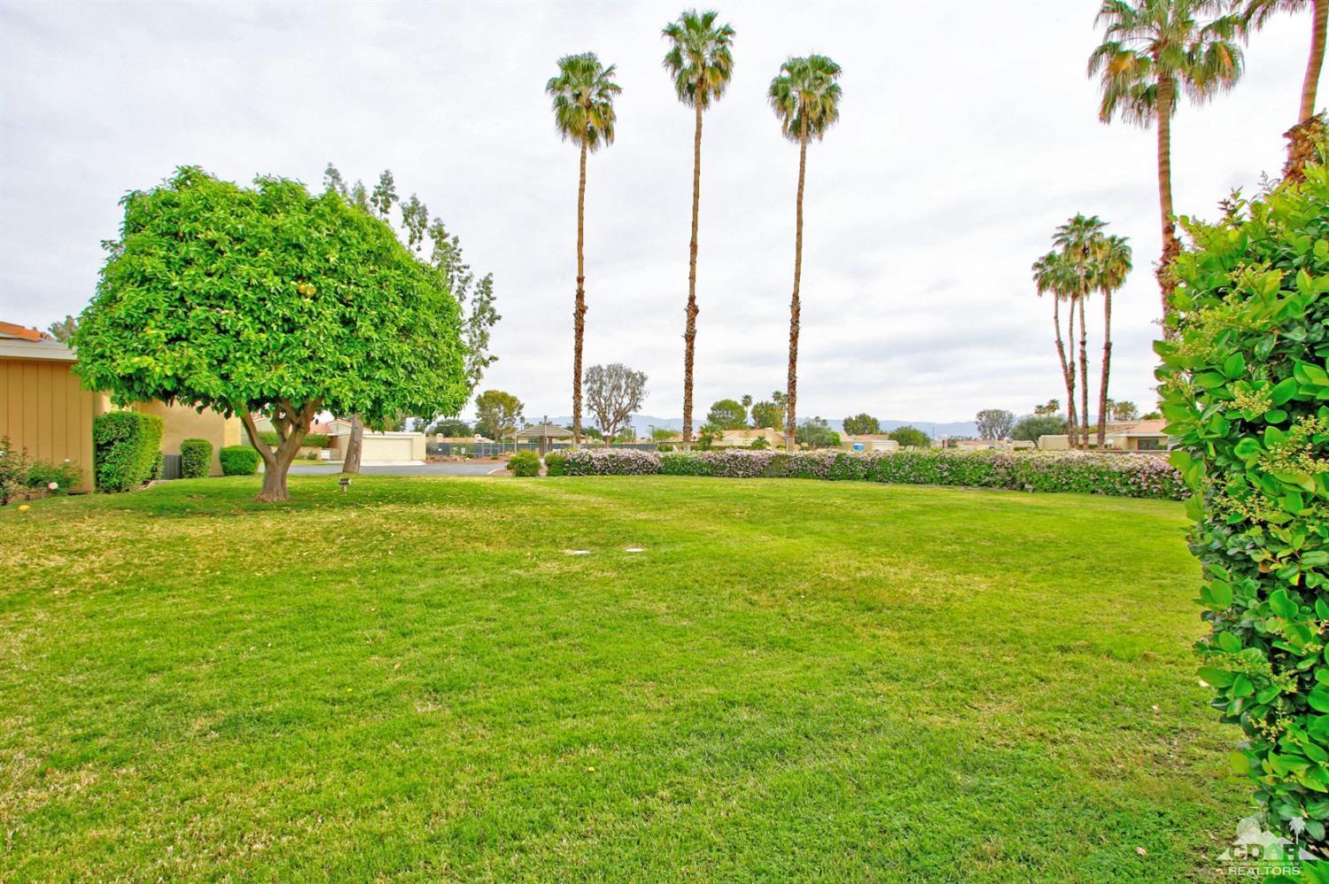 72350 Rodeo Way Rancho Mirage, CA 92270 - Photo 31 of 44 a view of a park with palm trees