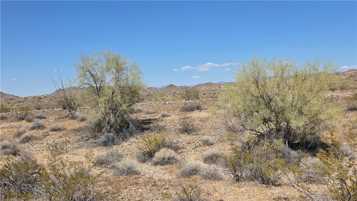 37 Off Franconia Yucca, AZ 86438 - Photo 45 of 46 Other