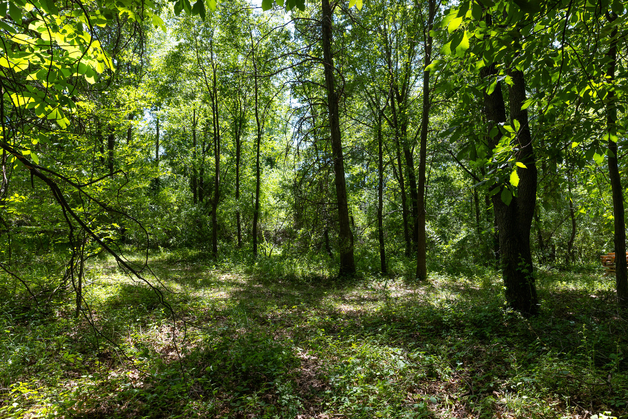 28 28 Mile Road Albion, MI 49224 - Photo 13 of 41 28 Mile -25