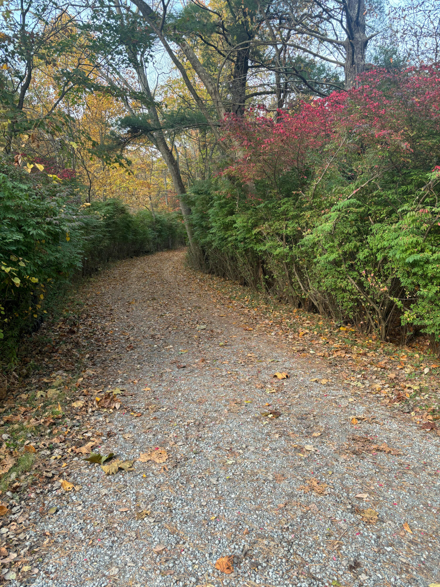 9995 Community Hall Road Union Pier, MI 49129 - Photo 32 of 42 IMG_1307