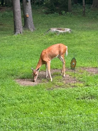 $1,149,000 | 9995 Community Hall Road, Union Pier, MI 49129