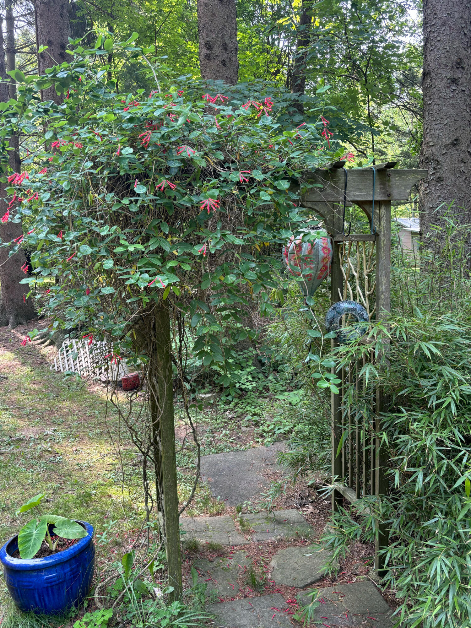 9995 Community Hall Road Union Pier, MI 49129 - Photo 38 of 42 IMG_1459