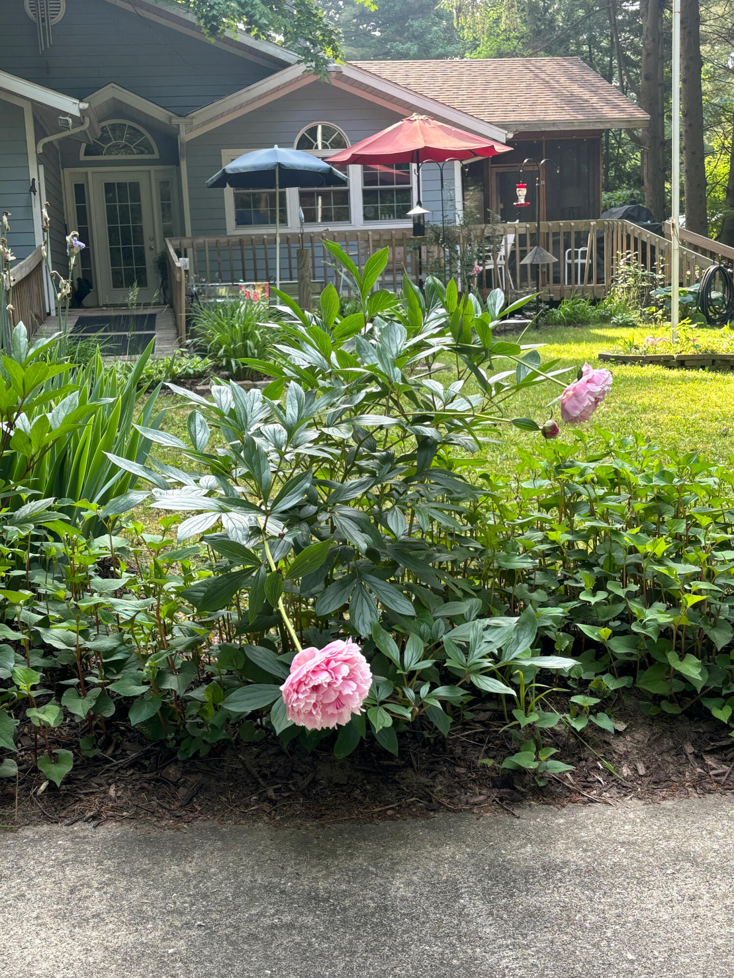 9995 Community Hall Road Union Pier, MI 49129 - Photo 39 of 42 IMG_1454