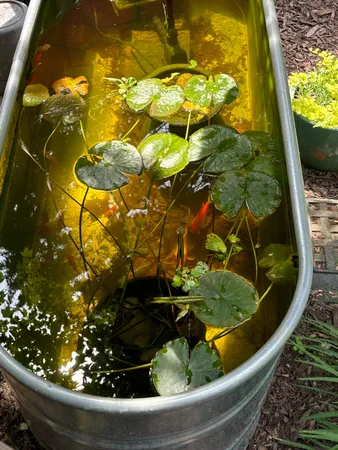 $1,149,000 | 9995 Community Hall Road, Union Pier, MI 49129