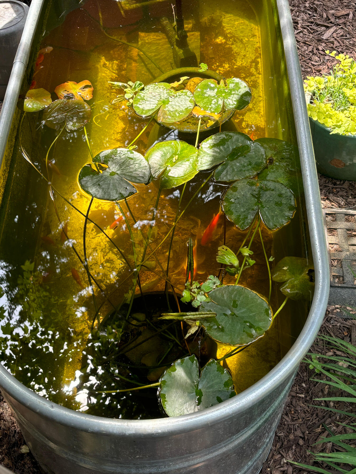 9995 Community Hall Road Union Pier, MI 49129 - Photo 41 of 42 IMG_1460