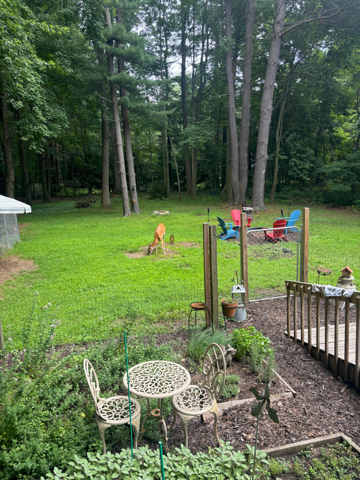 9995 Community Hall Road Union Pier, MI 49129 - Photo 42 of 42 IMG_1503