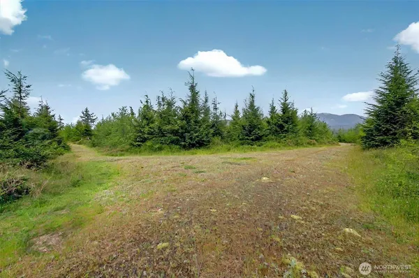 $229,000 | 5 Parpala Road, Unit 5, Naselle, WA 98638