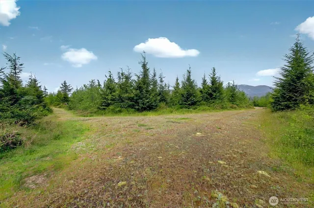 $239,000 | 5 Parpala Road, Unit 5, Naselle, WA 98638