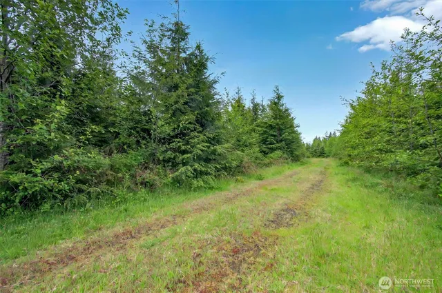 $239,000 | 5 Parpala Road, Unit 5, Naselle, WA 98638