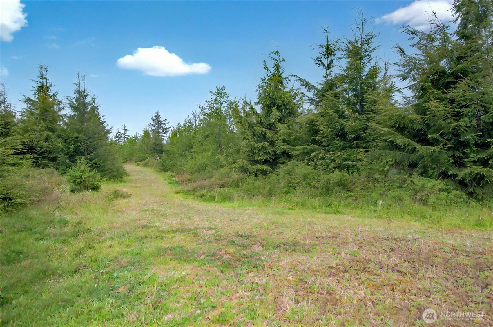 5 Parpala Road, Unit 5 Naselle, WA 98638 - Photo 12 of 19