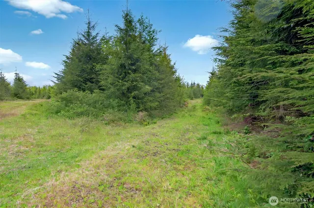 $239,000 | 5 Parpala Road, Unit 5, Naselle, WA 98638