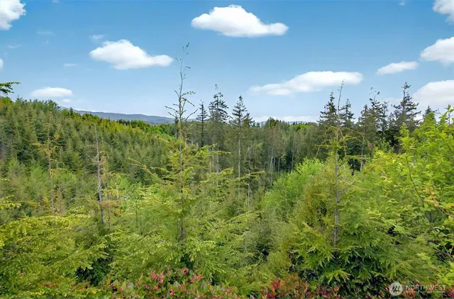 $239,000 | 5 Parpala Road, Unit 5, Naselle, WA 98638