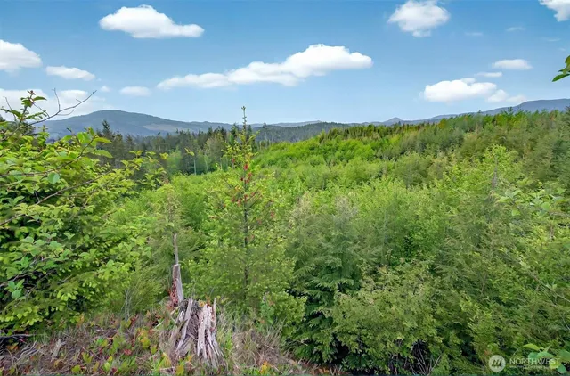 $239,000 | 5 Parpala Road, Unit 5, Naselle, WA 98638