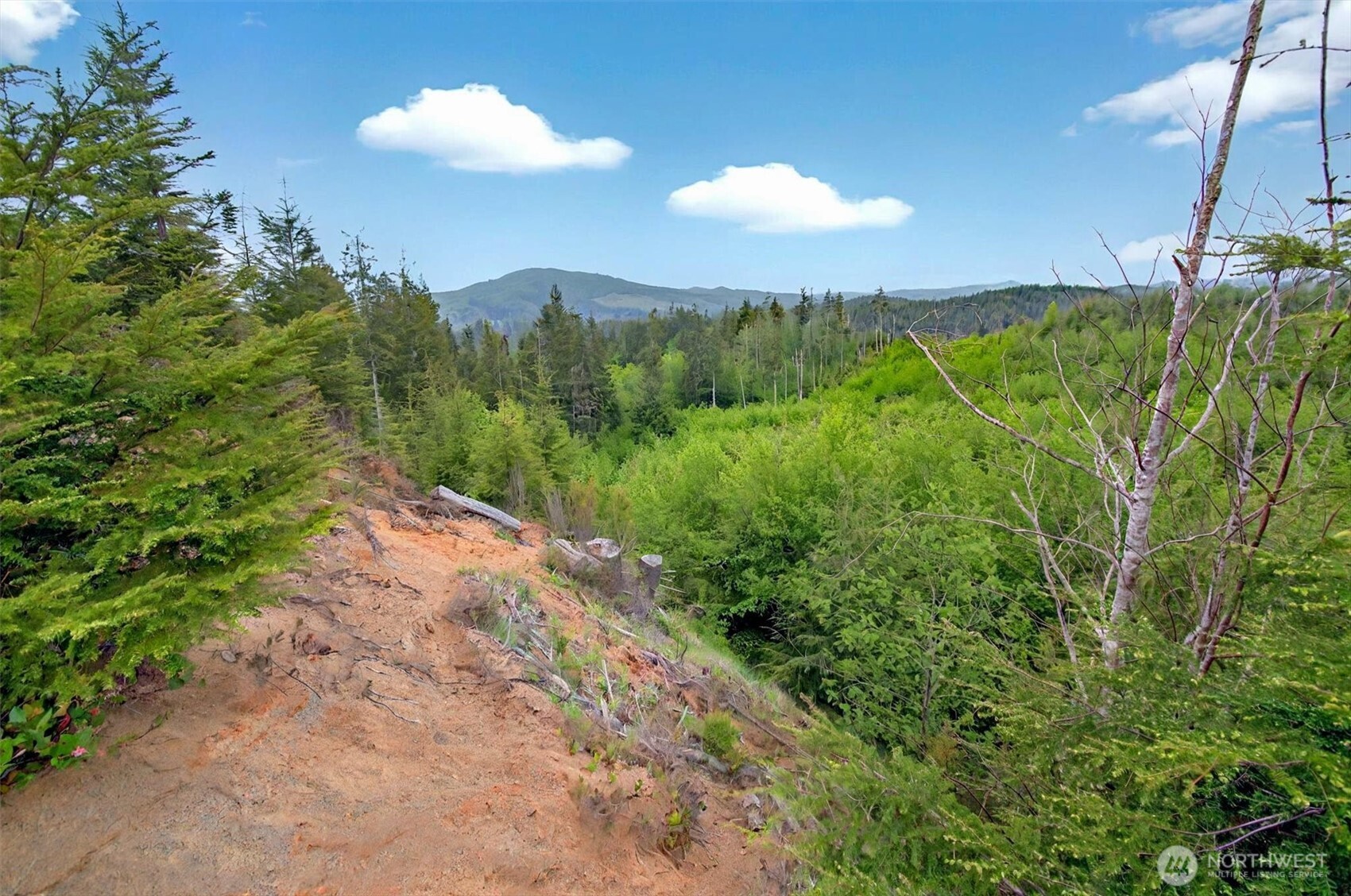 5 Parpala Road, Unit 5 Naselle, WA 98638 - Photo 16 of 19