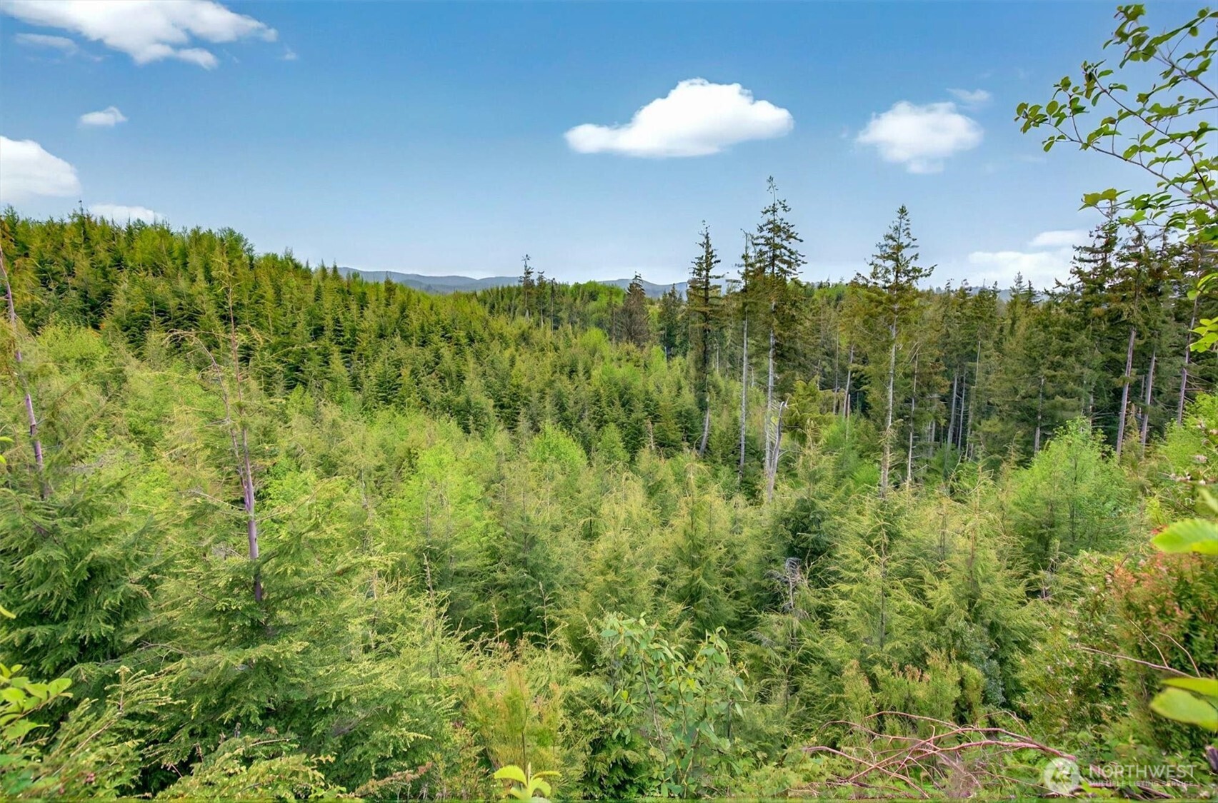 5 Parpala Road, Unit 5 Naselle, WA 98638 - Photo 17 of 19