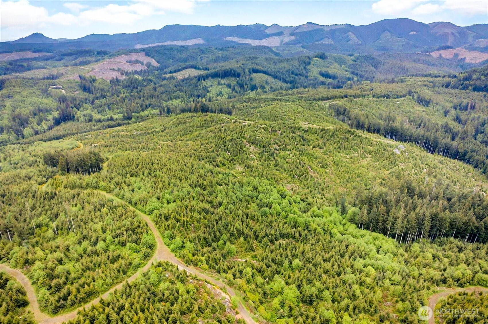 5 Parpala Road, Unit 5 Naselle, WA 98638 - Photo 18 of 19