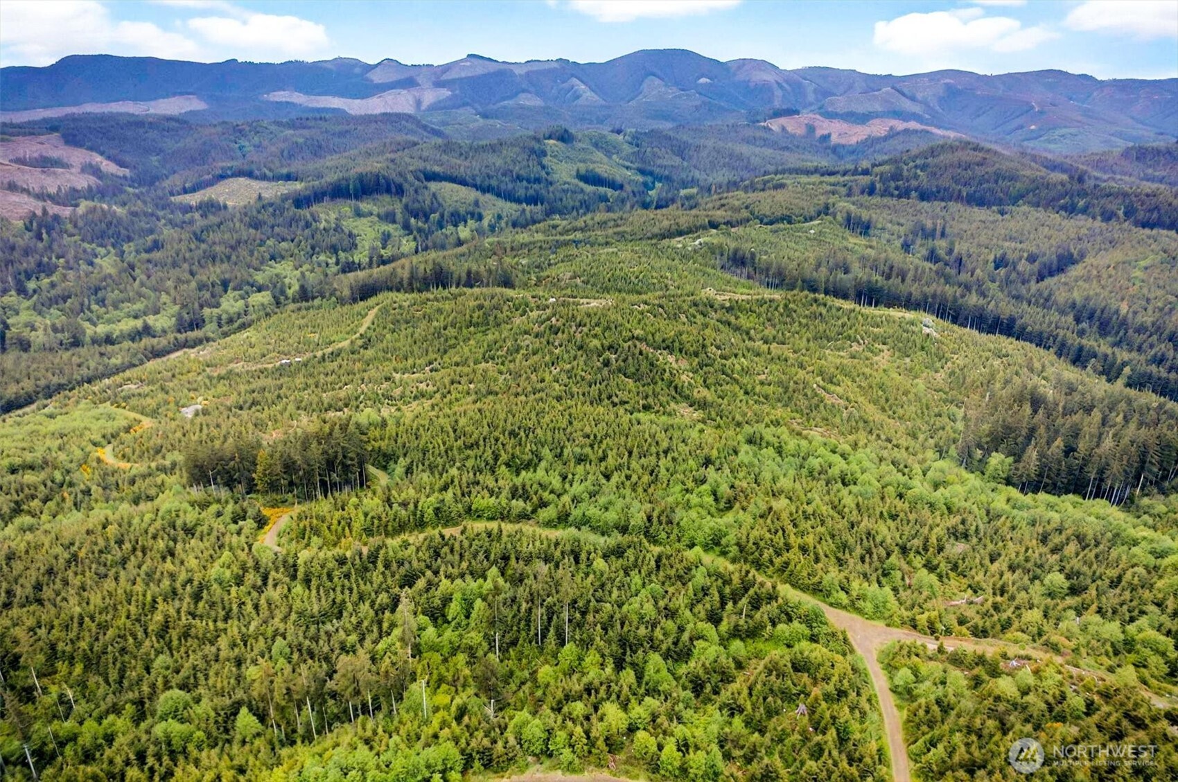 5 Parpala Road, Unit 5 Naselle, WA 98638 - Photo 2 of 19