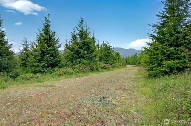 $239,000 | 5 Parpala Road, Unit 5, Naselle, WA 98638