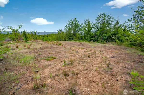 $229,000 | 5 Parpala Road, Unit 5, Naselle, WA 98638