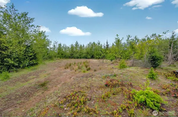 $229,000 | 5 Parpala Road, Unit 5, Naselle, WA 98638
