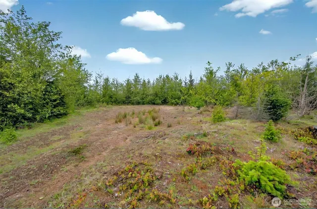 $239,000 | 5 Parpala Road, Unit 5, Naselle, WA 98638