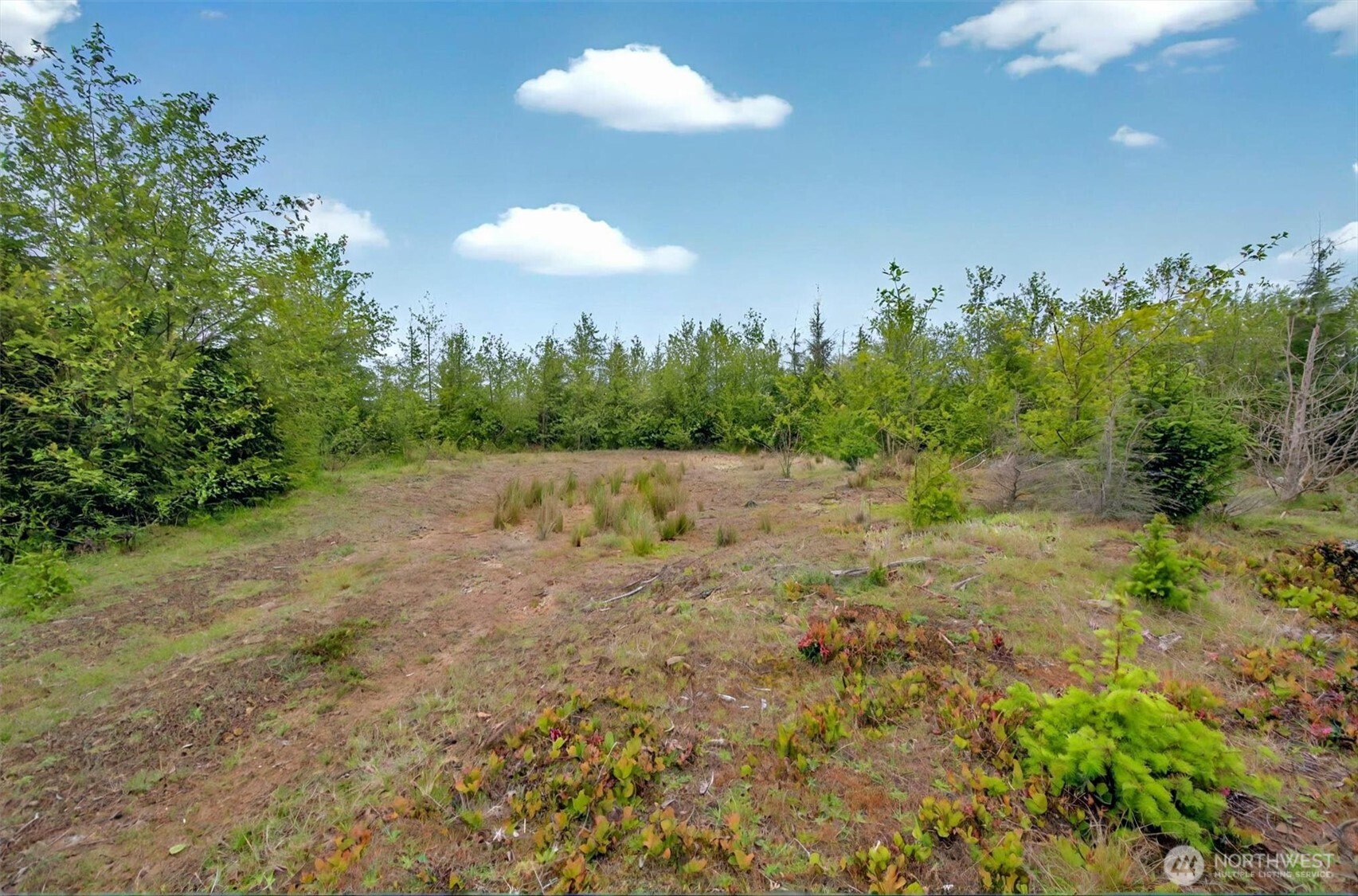 5 Parpala Road, Unit 5 Naselle, WA 98638 - Photo 5 of 19