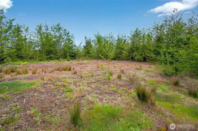 $239,000 | 5 Parpala Road, Unit 5, Naselle, WA 98638