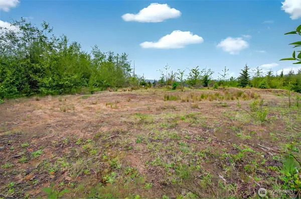 $229,000 | 5 Parpala Road, Unit 5, Naselle, WA 98638