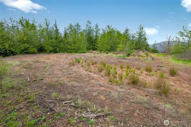 $239,000 | 5 Parpala Road, Unit 5, Naselle, WA 98638