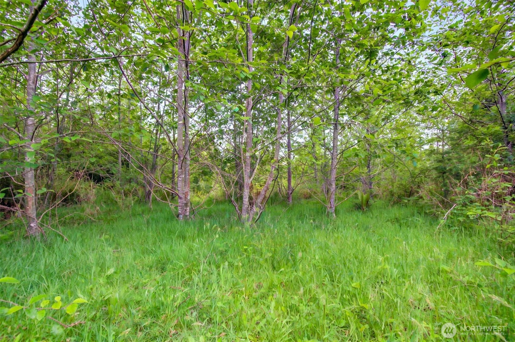 5 Parpala Road, Unit 5 Naselle, WA 98638 - Photo 9 of 19