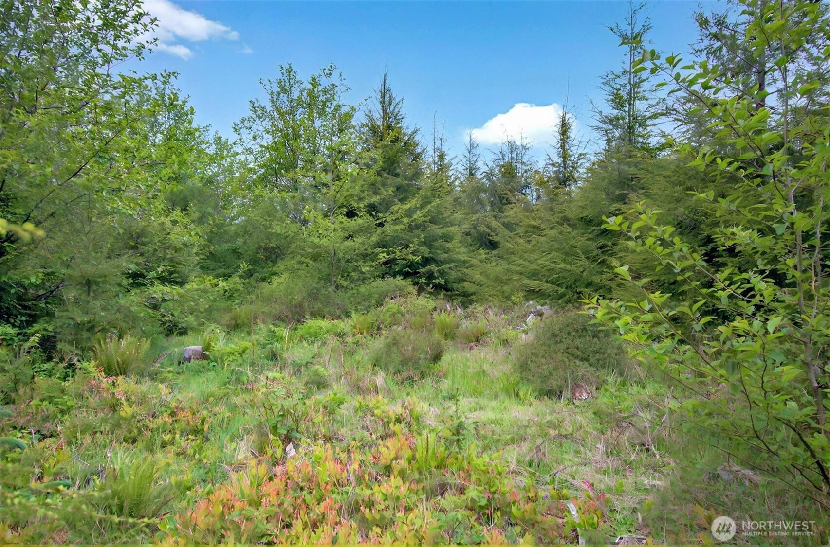 5 Parpala Road, Unit 5 Naselle, WA 98638 - Photo 10 of 19