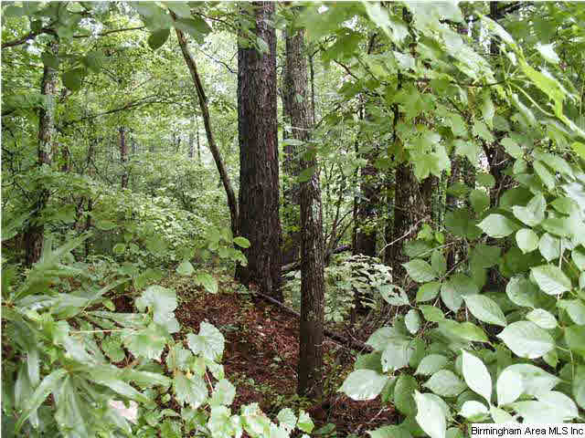 0 Reid Road, Unit 2 LOTS Oneonta, AL 35121 - Photo 9 of 9 Gallery Image 9