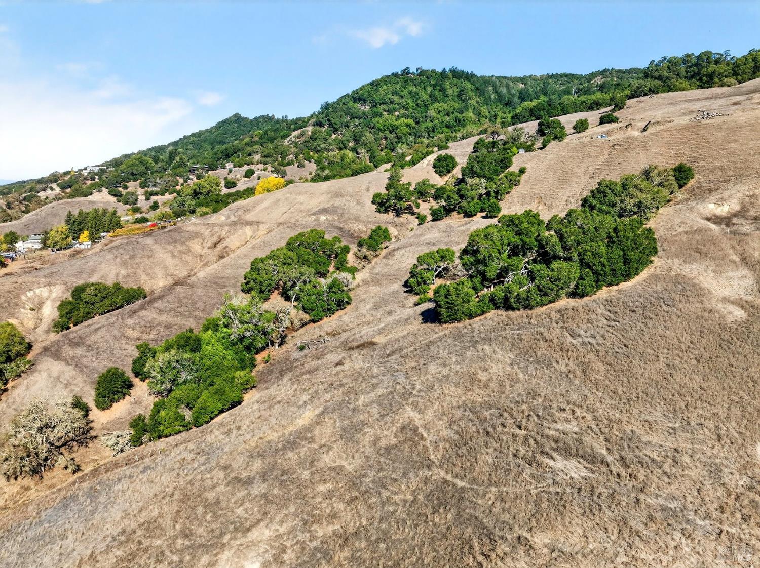 5200 Petaluma Hill Road Santa Rosa, CA 95404 - Photo 24 of 45 a view of a garden with a building in the background