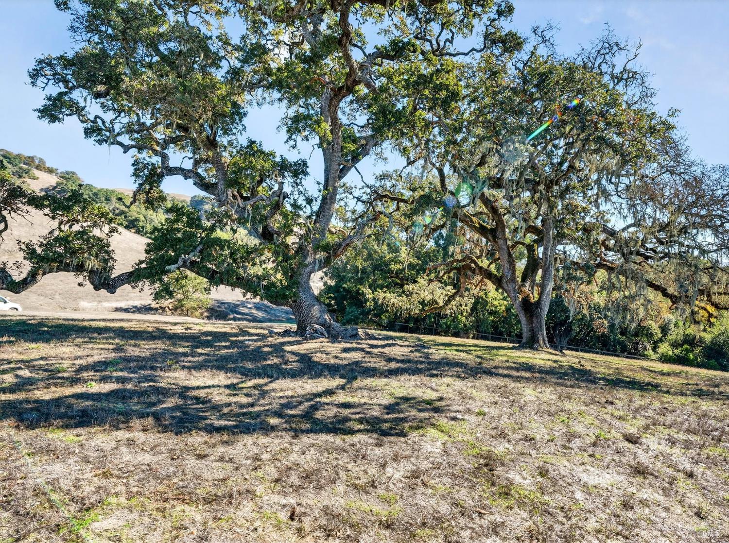 5200 Petaluma Hill Road Santa Rosa, CA 95404 - Photo 27 of 45 a view of a yard with a tree